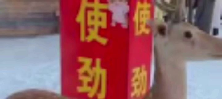 断触bug什么时候解决一下?😳截图