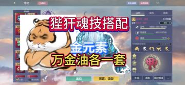 狴犴魂技搭配，金元素、万金油各一套。