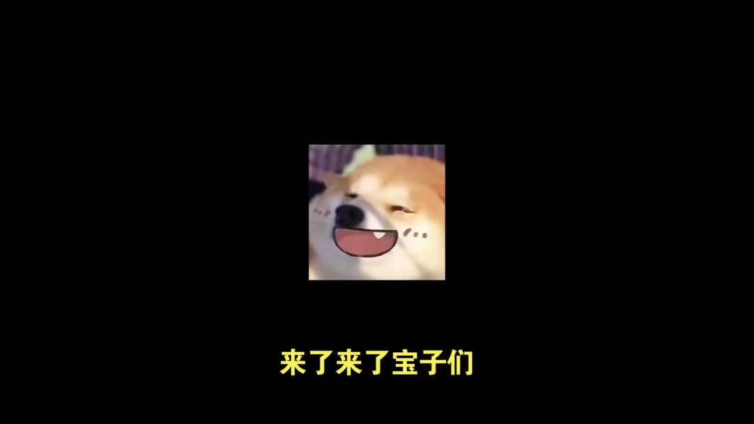 video-5178391