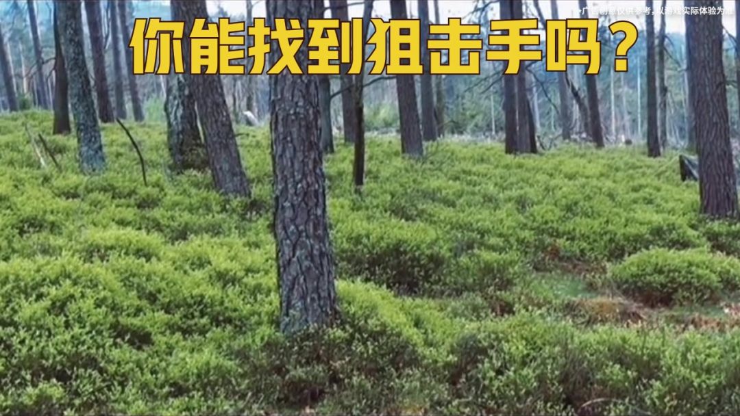 video-5179959