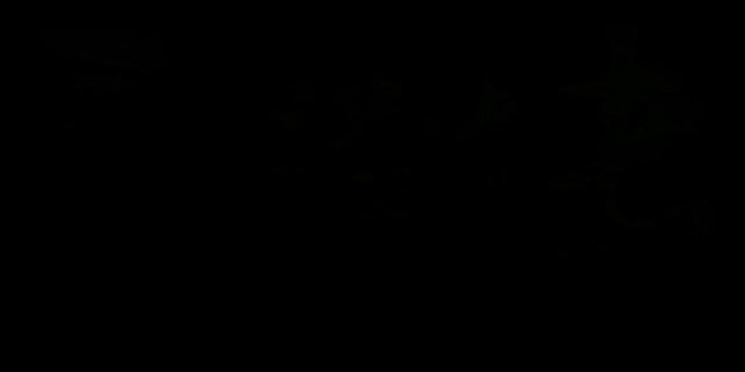 video-5180731