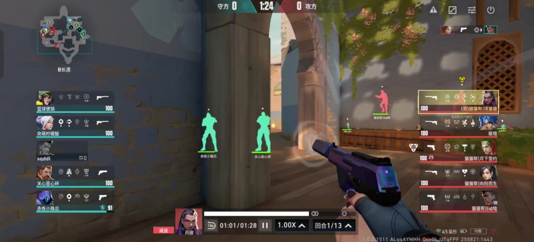 video-5181701