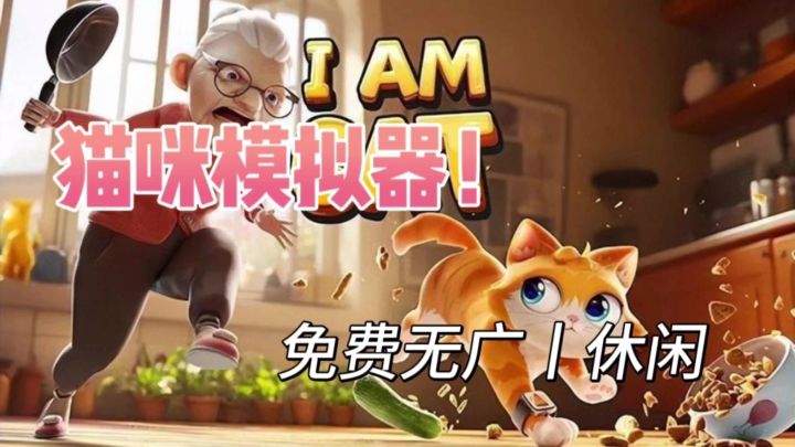 第一视角当猫咪!真的太快乐啦截图