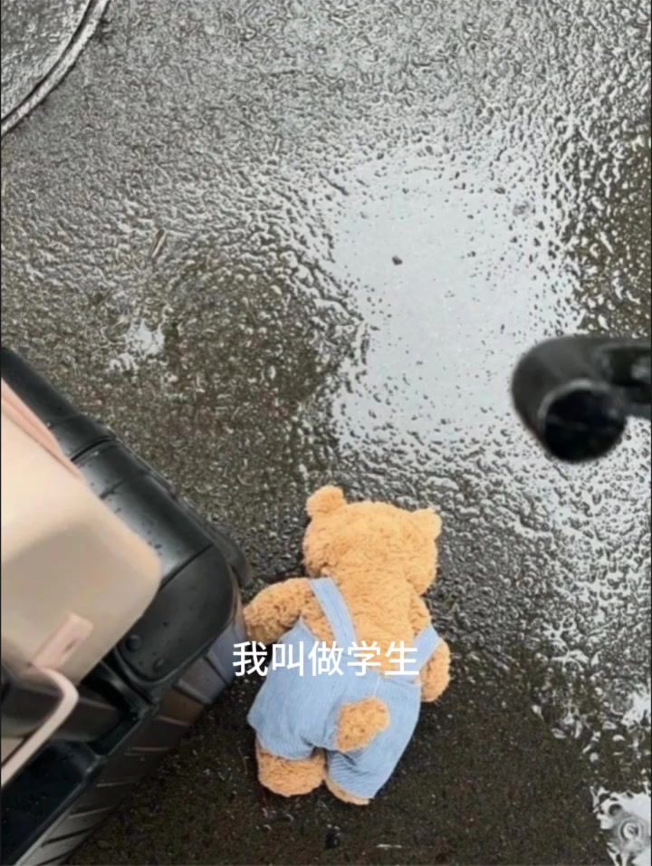我的未婚夫叫做学校.截图