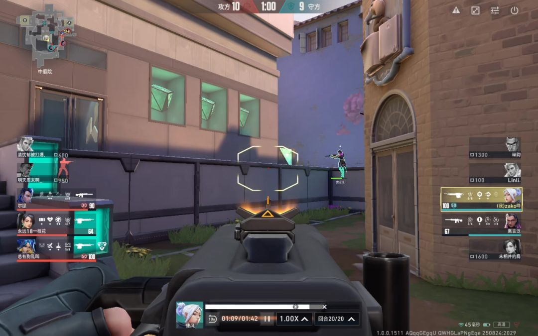 video-5187443