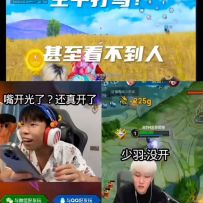筷子先生和平准度VS王者准度