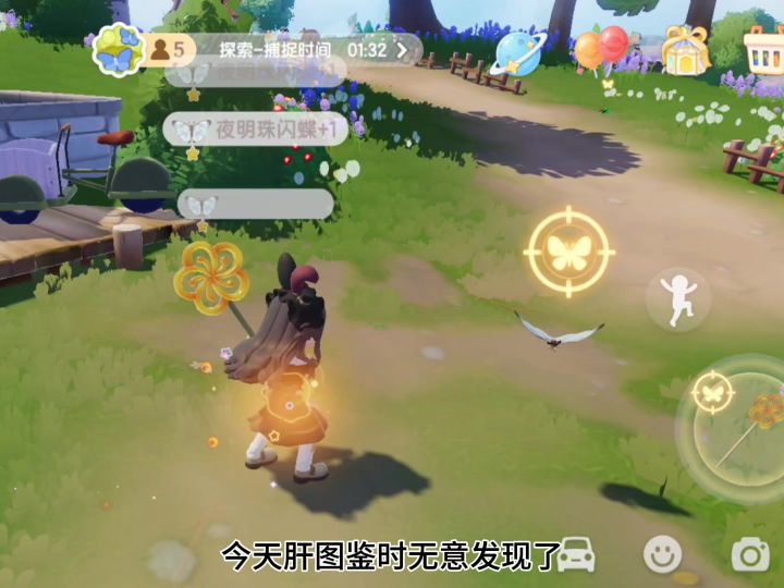 快速获得五星特产虫(夜明珠闪蝶)攻略截图