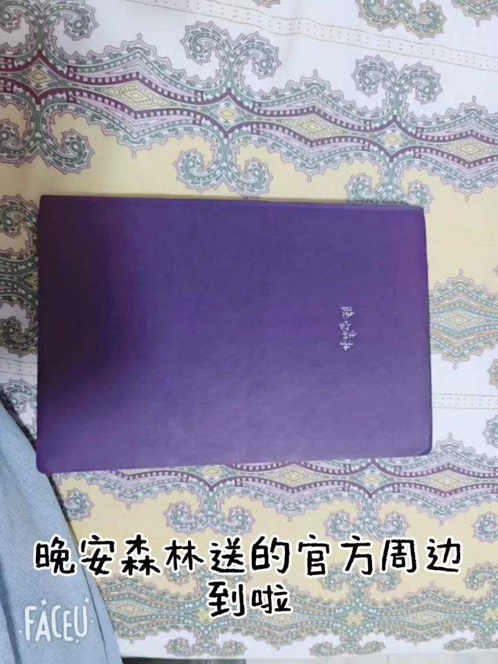 晚安森林周边纪念截图