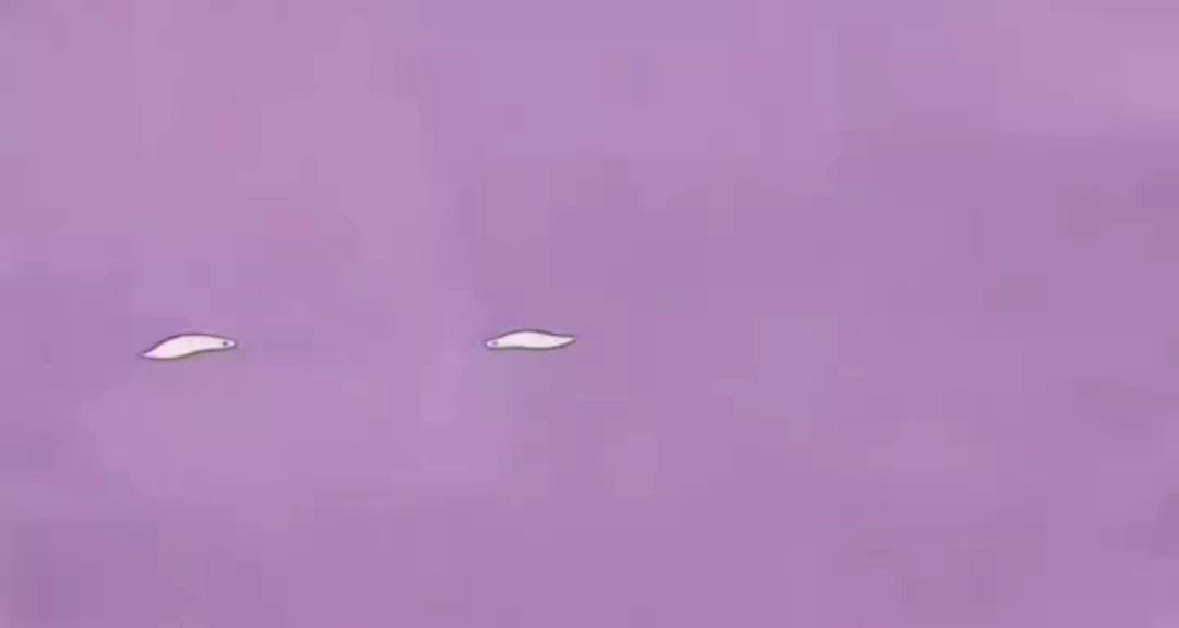 video-5205450