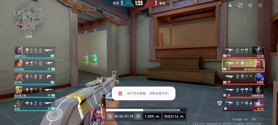 video-5207023