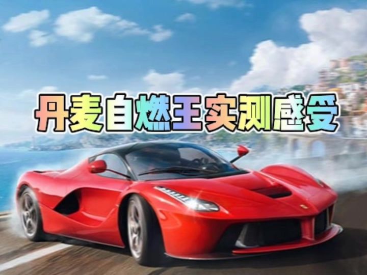 丹麦自燃王实测感受截图