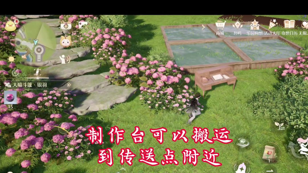 video-5207889