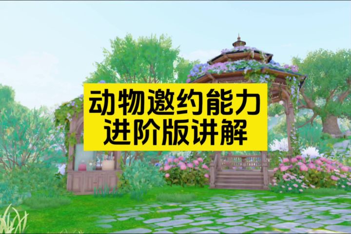 动物邀约能力进阶版攻略截图