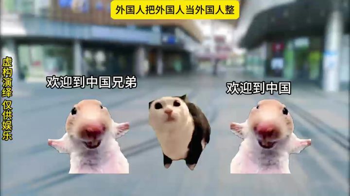 外国人把外国人当外国人整截图