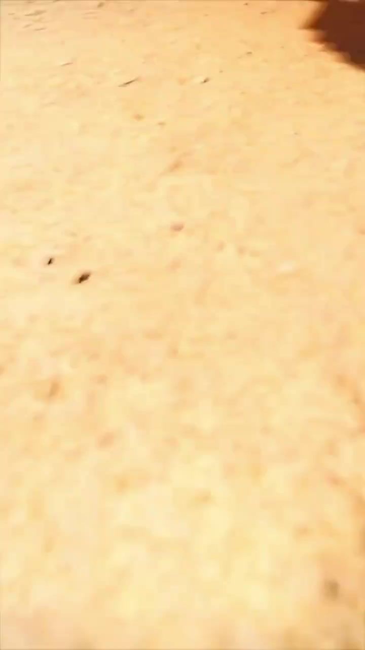 video-5214161