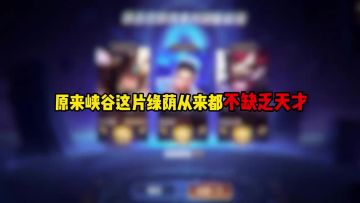原来峡谷这片绿荫从来都不缺乏天才