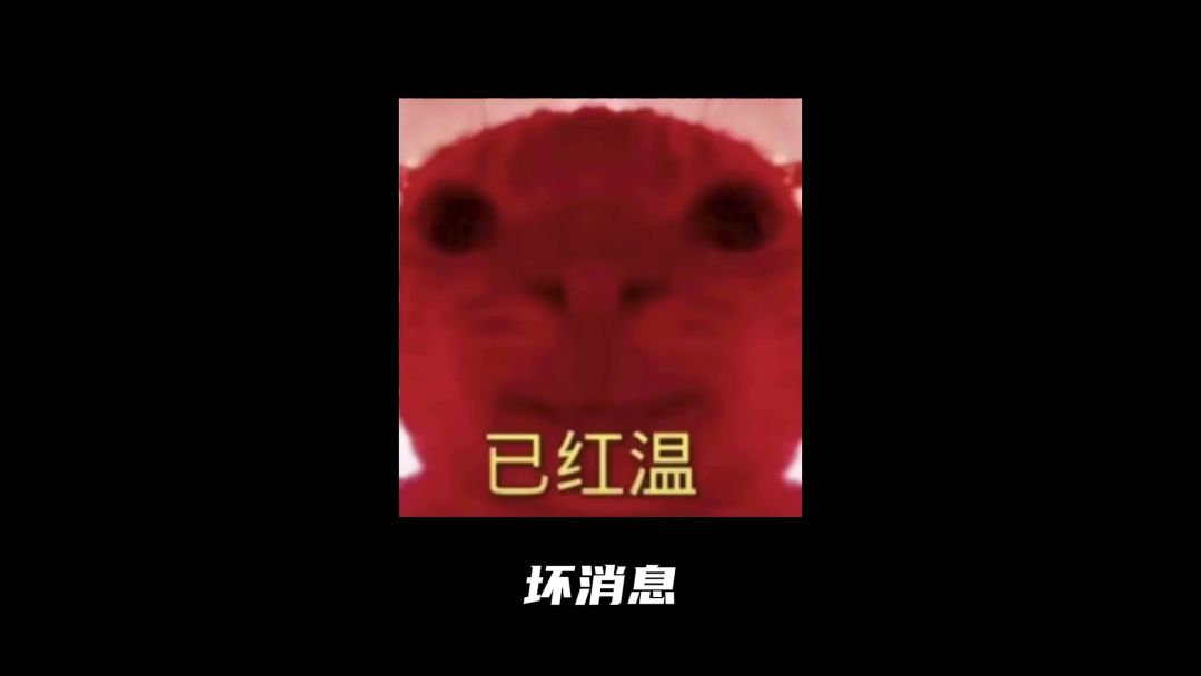 video-5216602