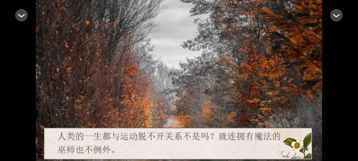 【HP】魔王的夜莺 9.9截图