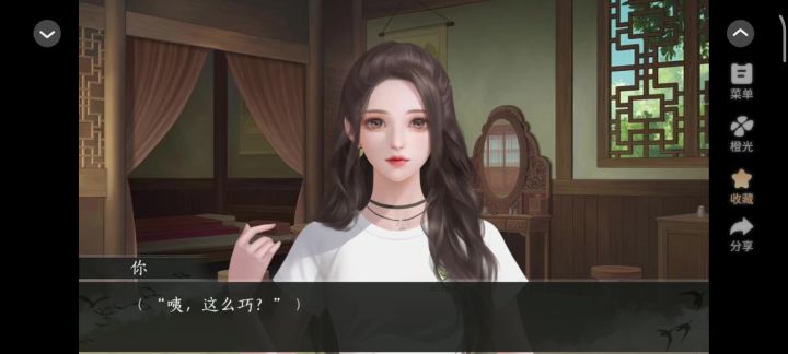 9.9 恰似惊鸿照影来截图