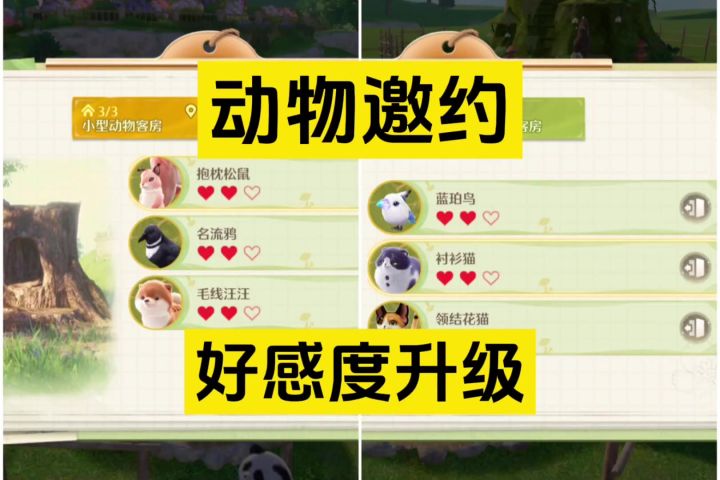 动物好感度提升以及动物邀约注意事项截图