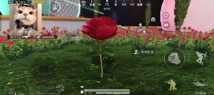 做无名小花 做快乐小狗截图