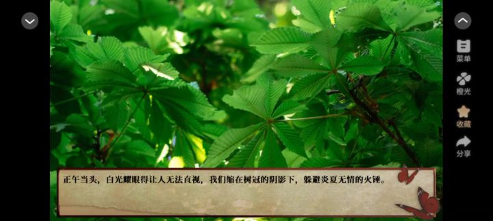 蝴蝶梦截图