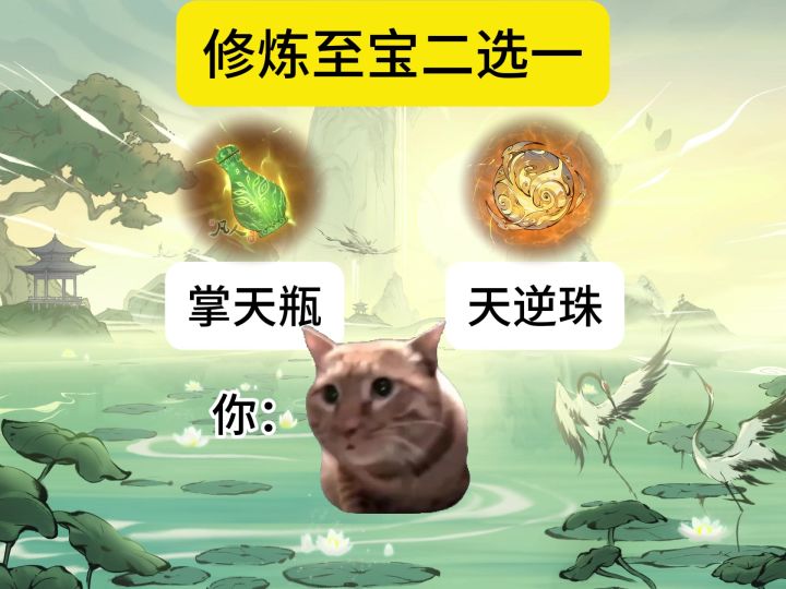 一个选择,一种生活。截图