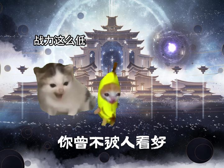 心之所向,道之所在!截图
