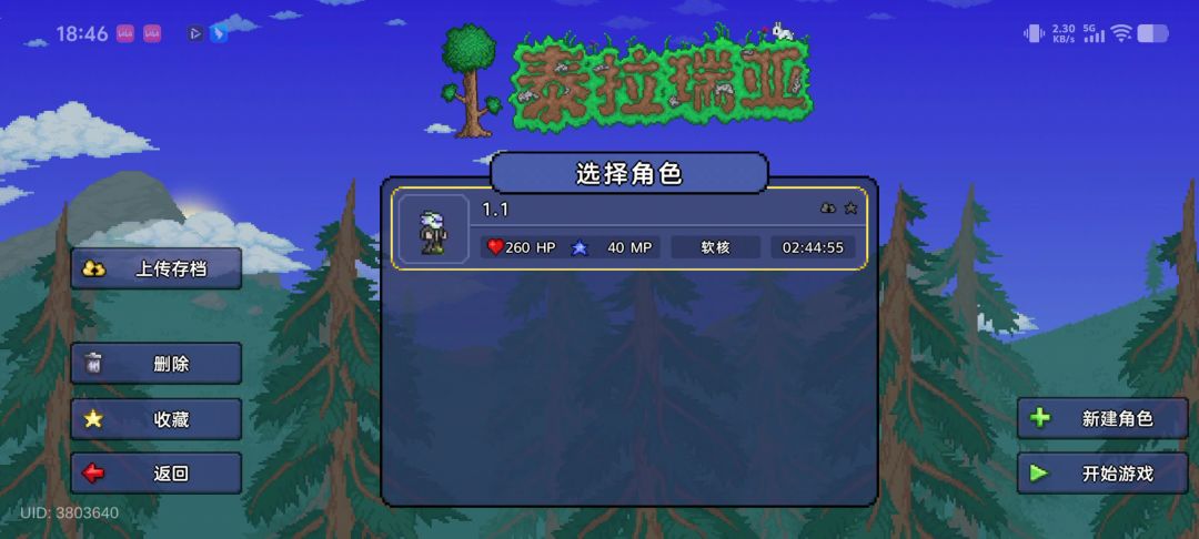 video-5234461