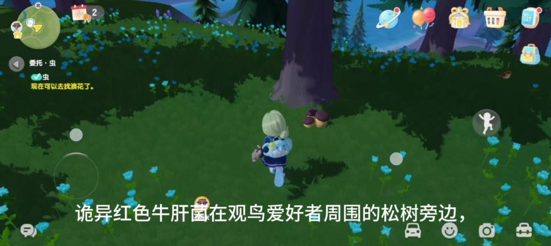 带大家去采可以吃的蘑菇截图