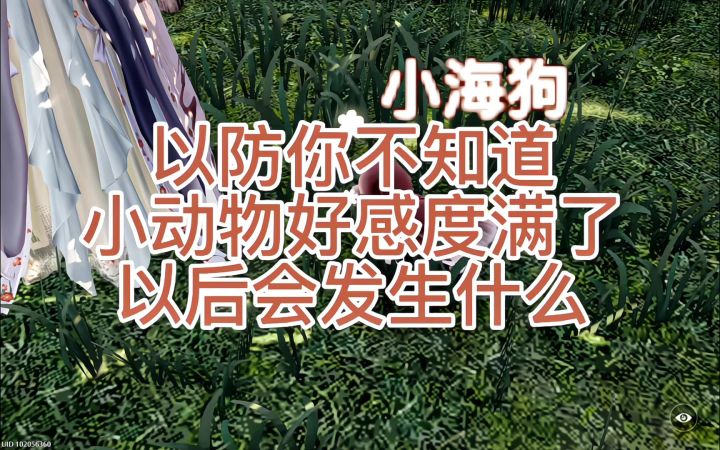 以防你不知道小动物好感度满了以后会发生什么截图