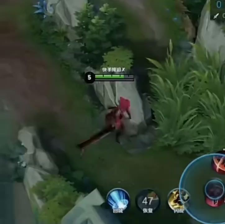 video-5241377