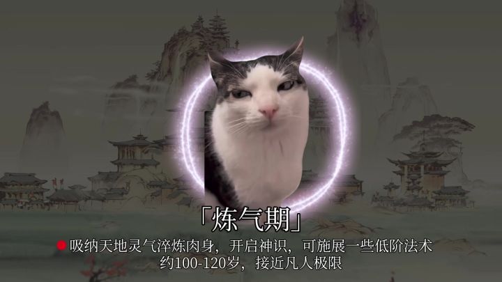 传统修仙一共多少个境界？截图