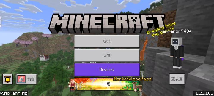 游戏bug截图