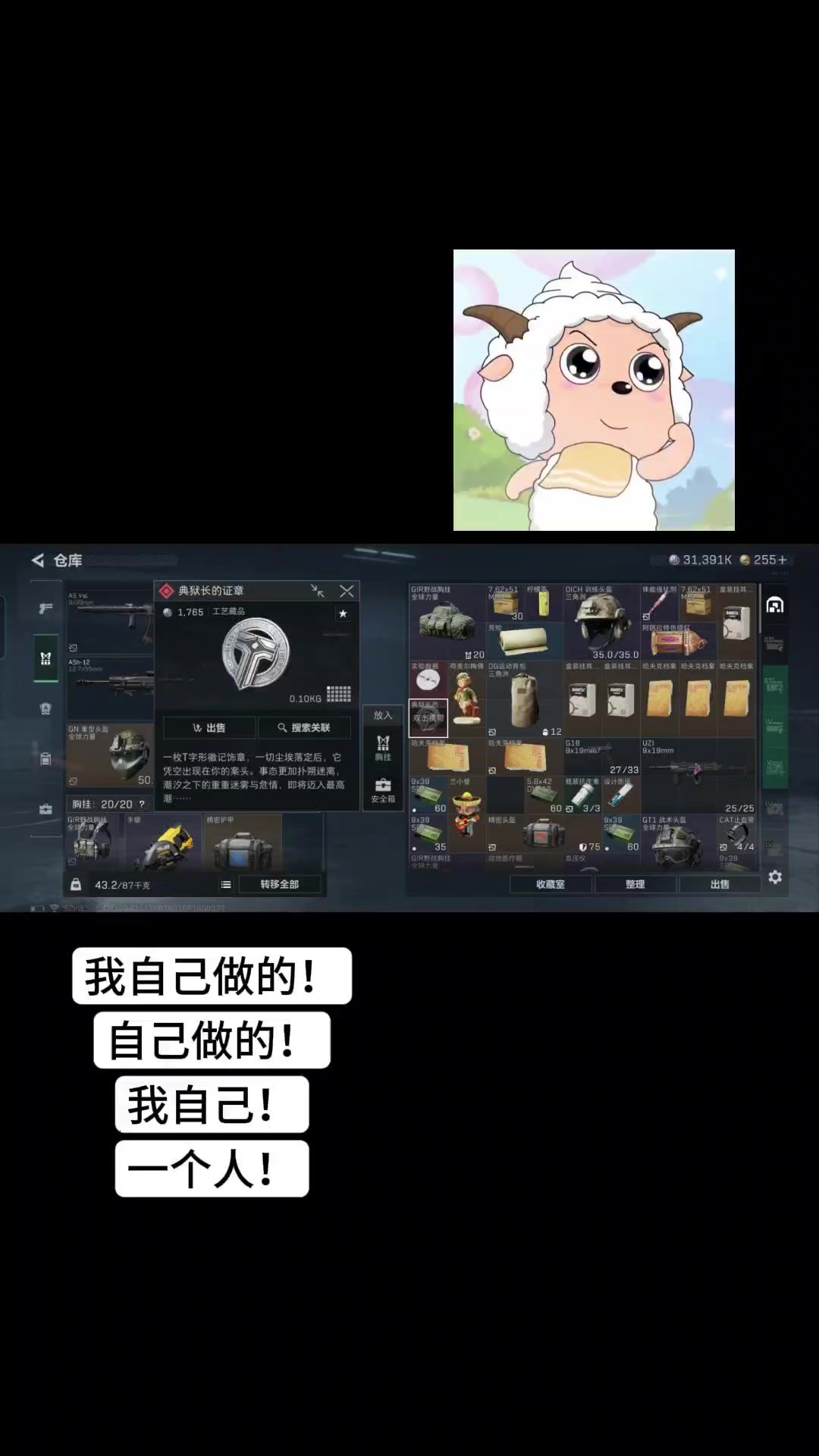 video-5245530