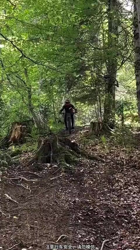 video-5245684
