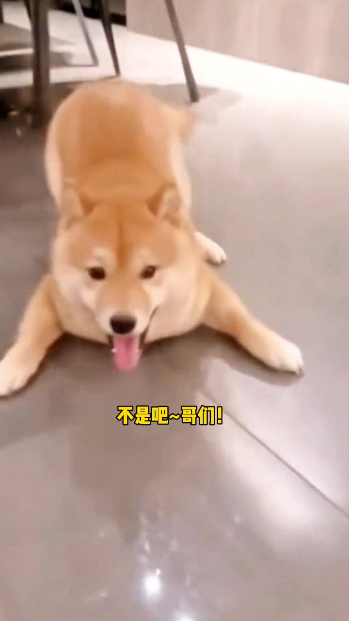 道友们还不速速来分机缘截图