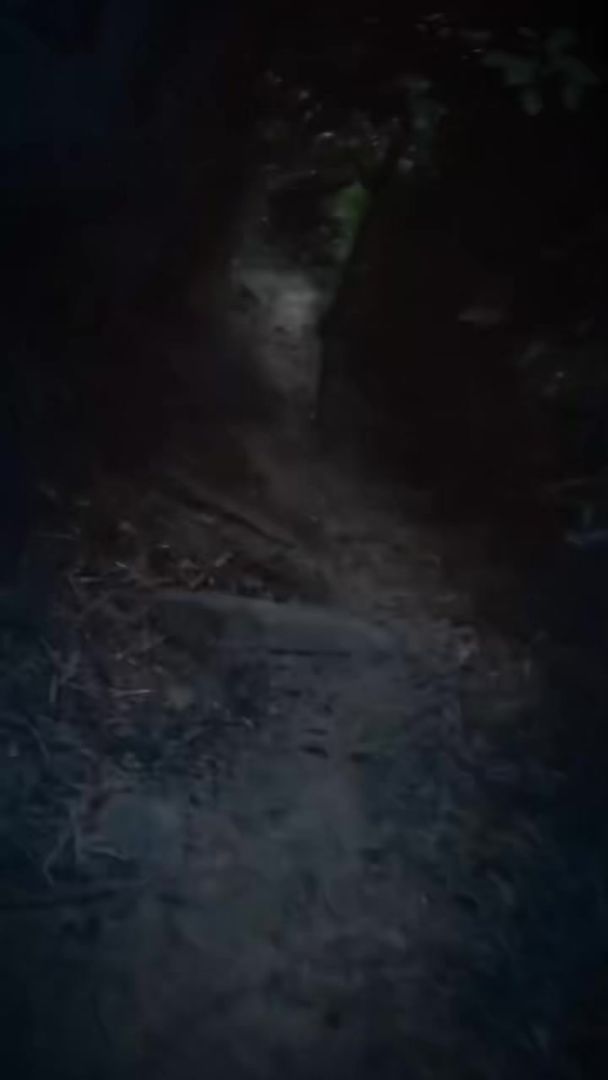 video-5247393