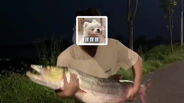 《晶核》与B.Duck小黄鸭联动版本正式上线!截图