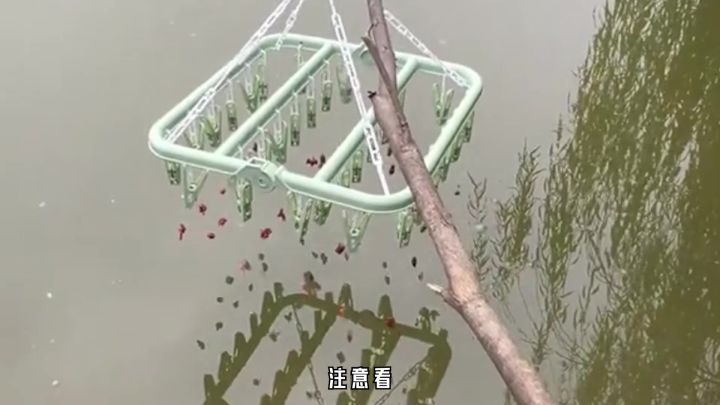 冒险无界,畅快暴打!来《晶核》开启新的冒险篇章!截图