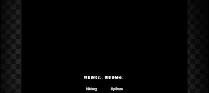 这最后一天特别温馨,大家可以看一下截图