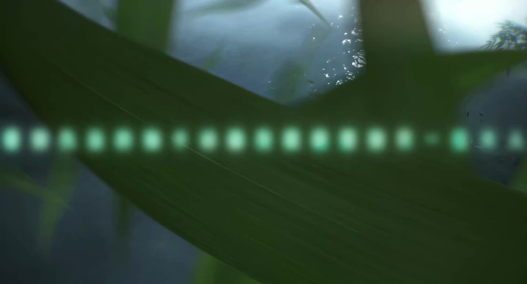 video-5252131