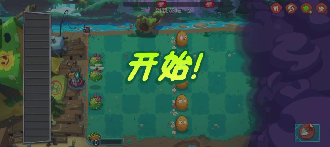 video-5253615