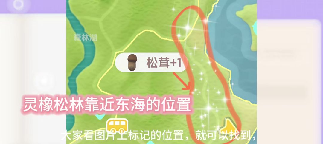 松茸的位置截图