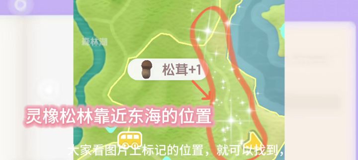 松茸的位置截图