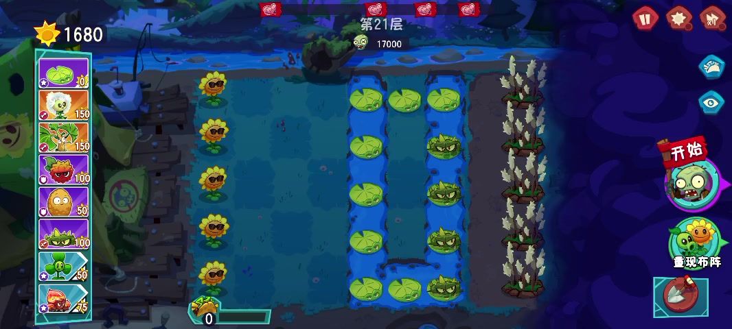 video-5255579
