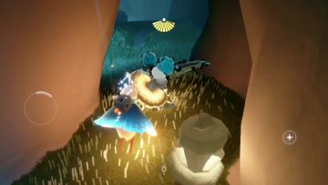 雨林追光季随性拓荒者先祖/雨伞先祖收集萌新路线