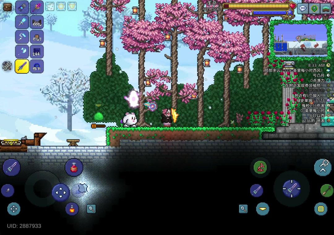 video-5261717