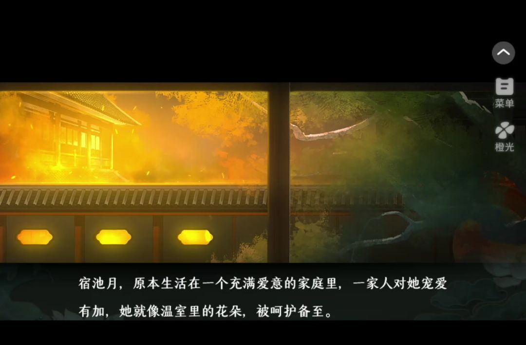 video-5262221