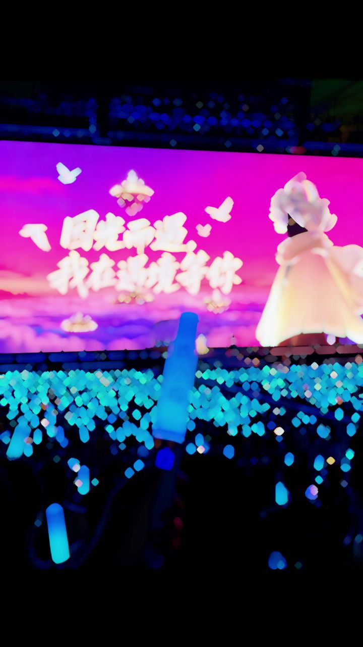 光遇演唱会截图